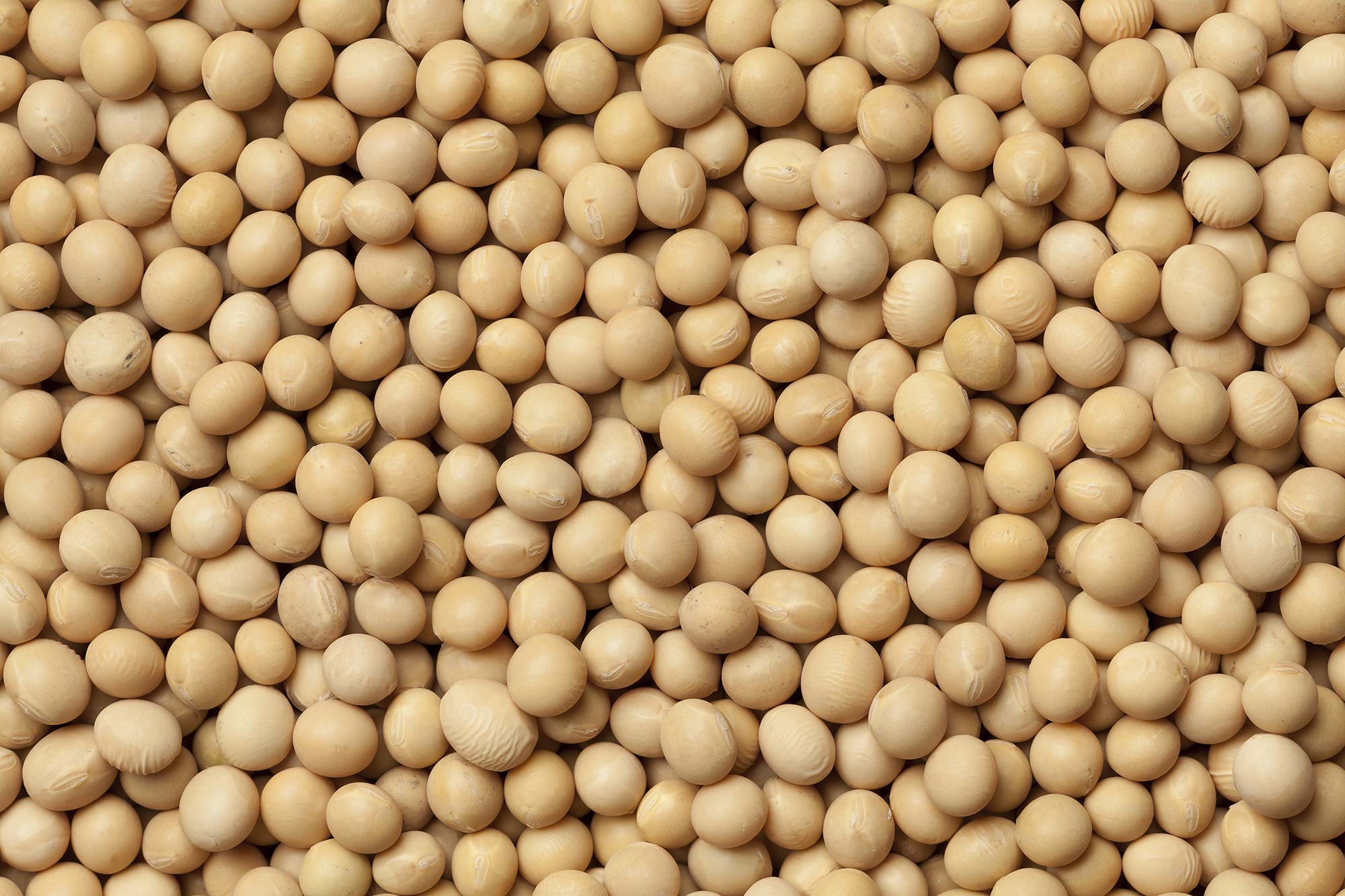 Redwood, Faribault counties lead 2020 production totals - Minnesota Soybean