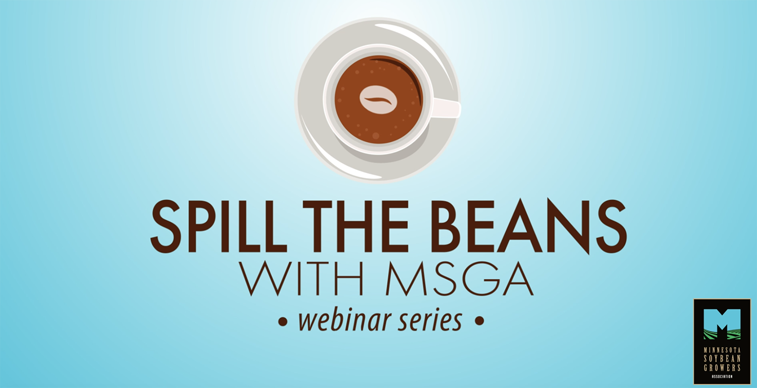 To spill the Beans. Spilling the Beans. MSGA. Spill. The Beans pics.