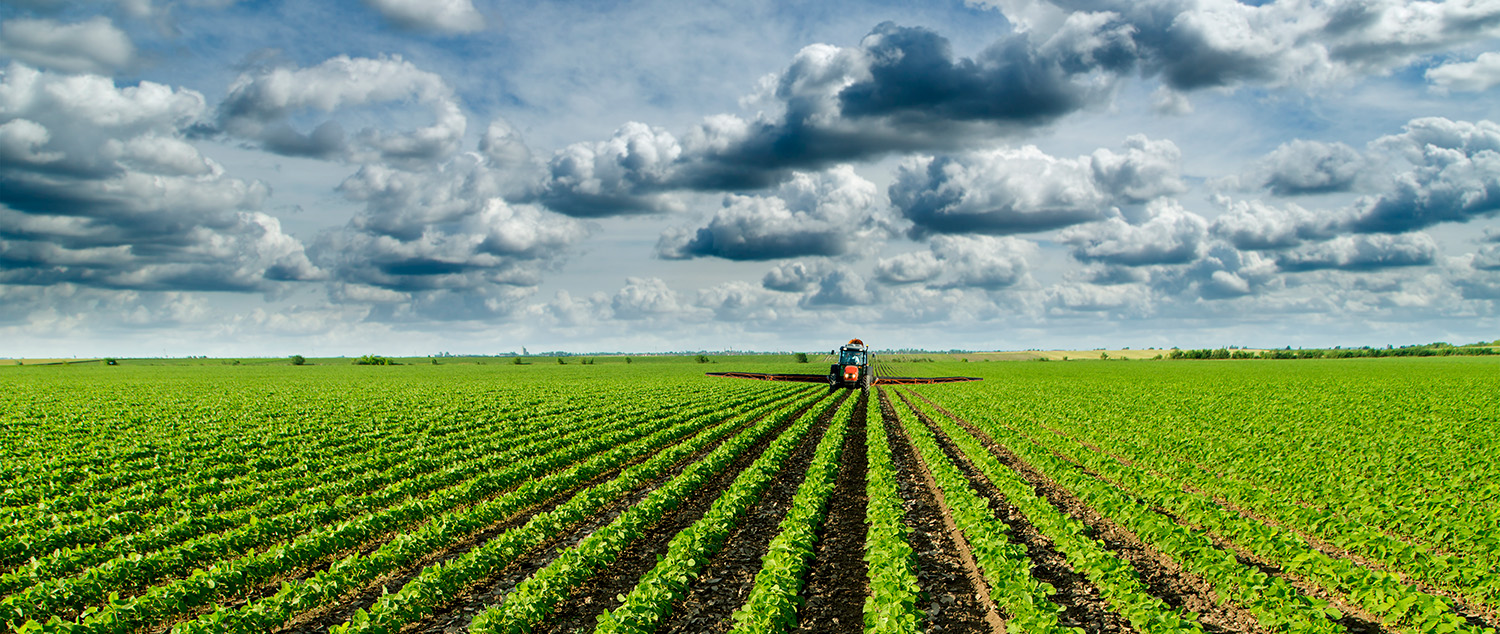 Minnesota Soybean Research And Promotion Council