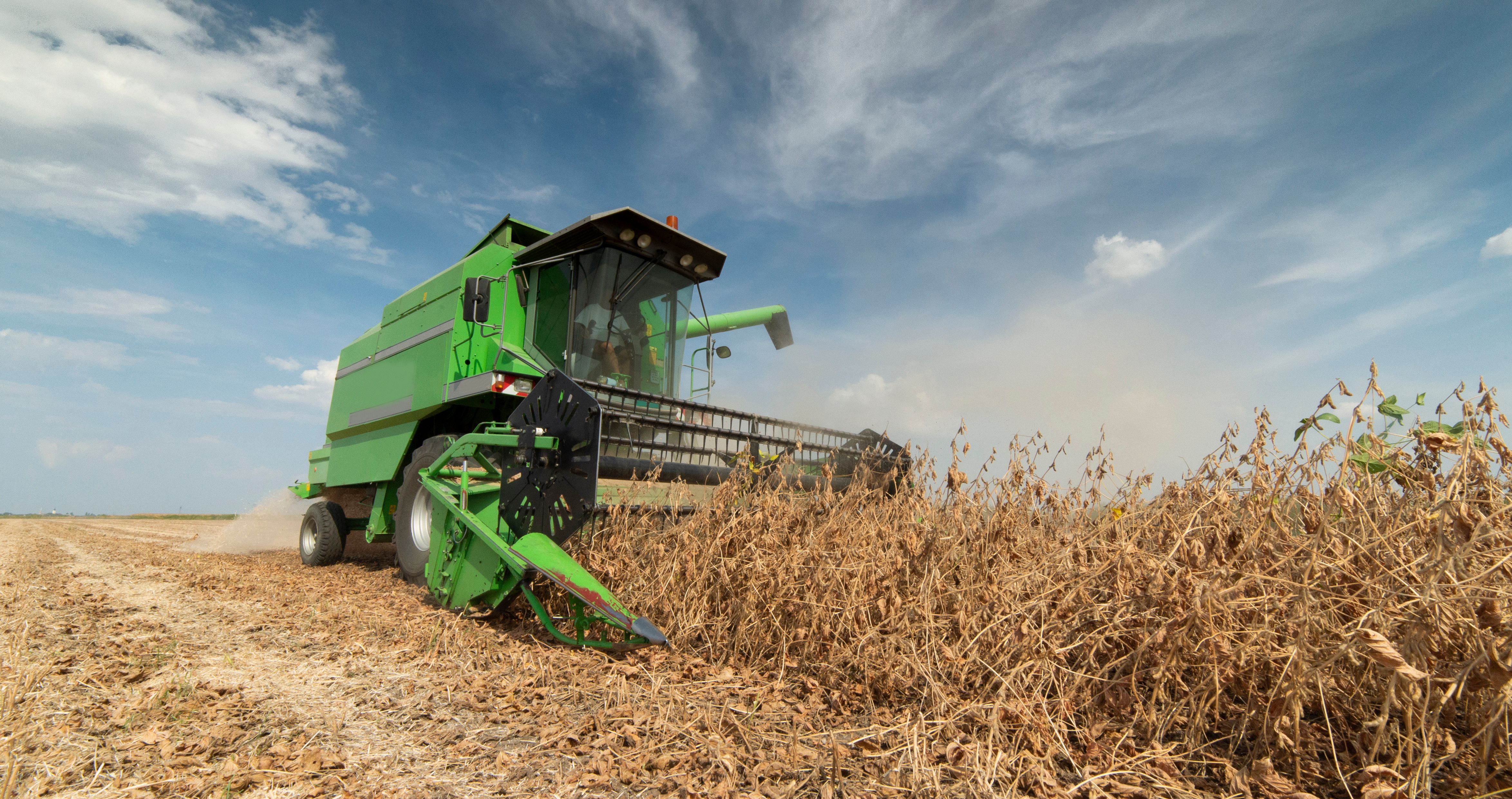 SOY HARVEST