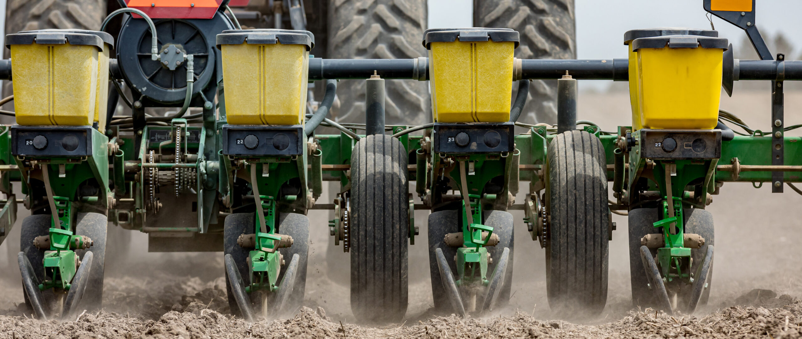 planting