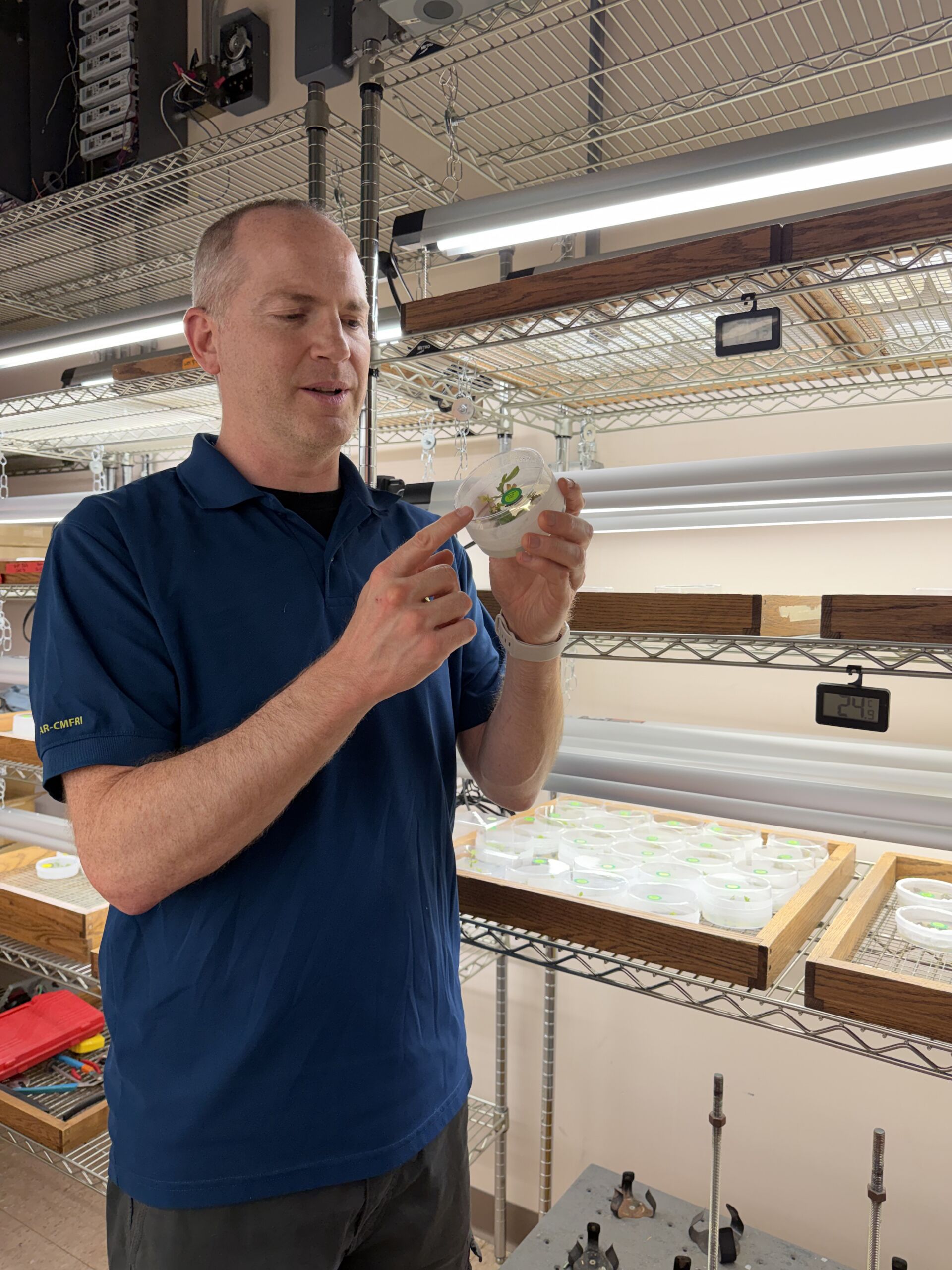 Stupar in tissue culture room_2026 Robert Stupar examining a soybean plant that has been gene-edited to increase main stem internode length.