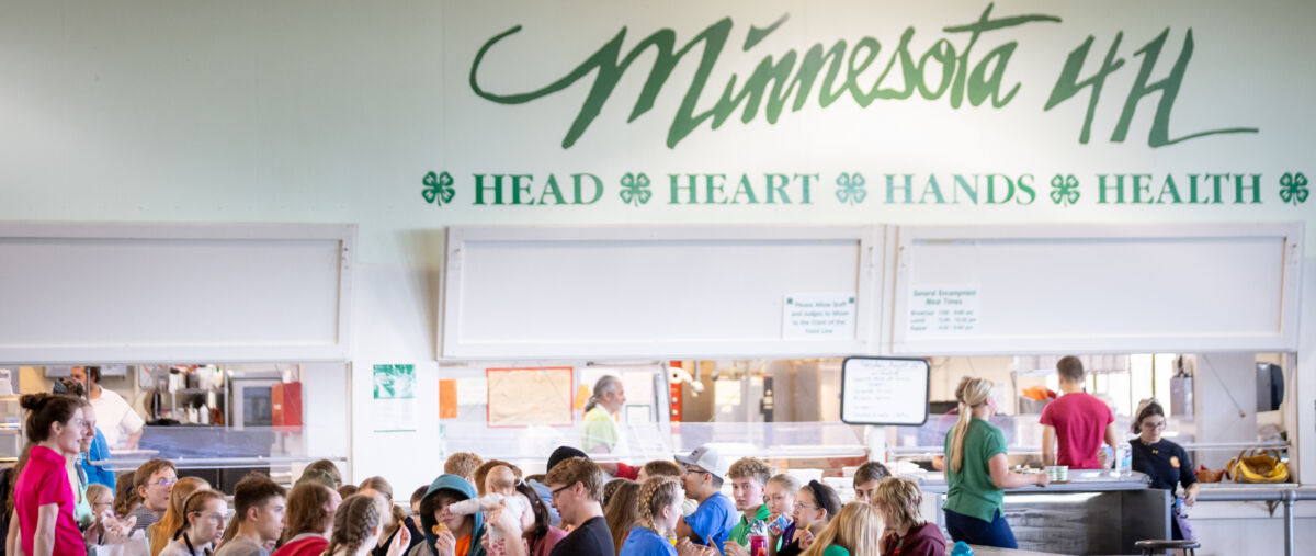 4-H 4 all: Council’s checkoff support to help grow MN’s new 4-H ...