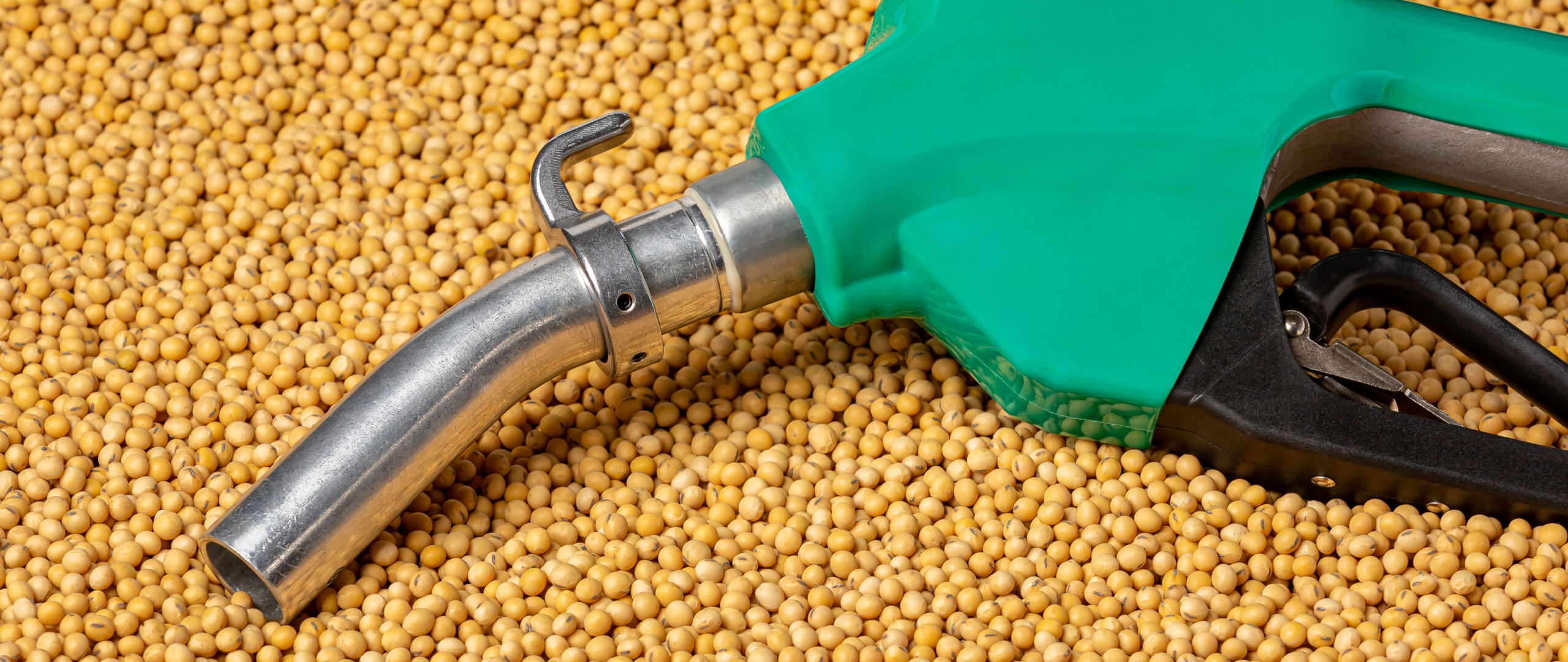Diesel fuel nozzle and soybeans. Biodiesel, biofuel, agriculture